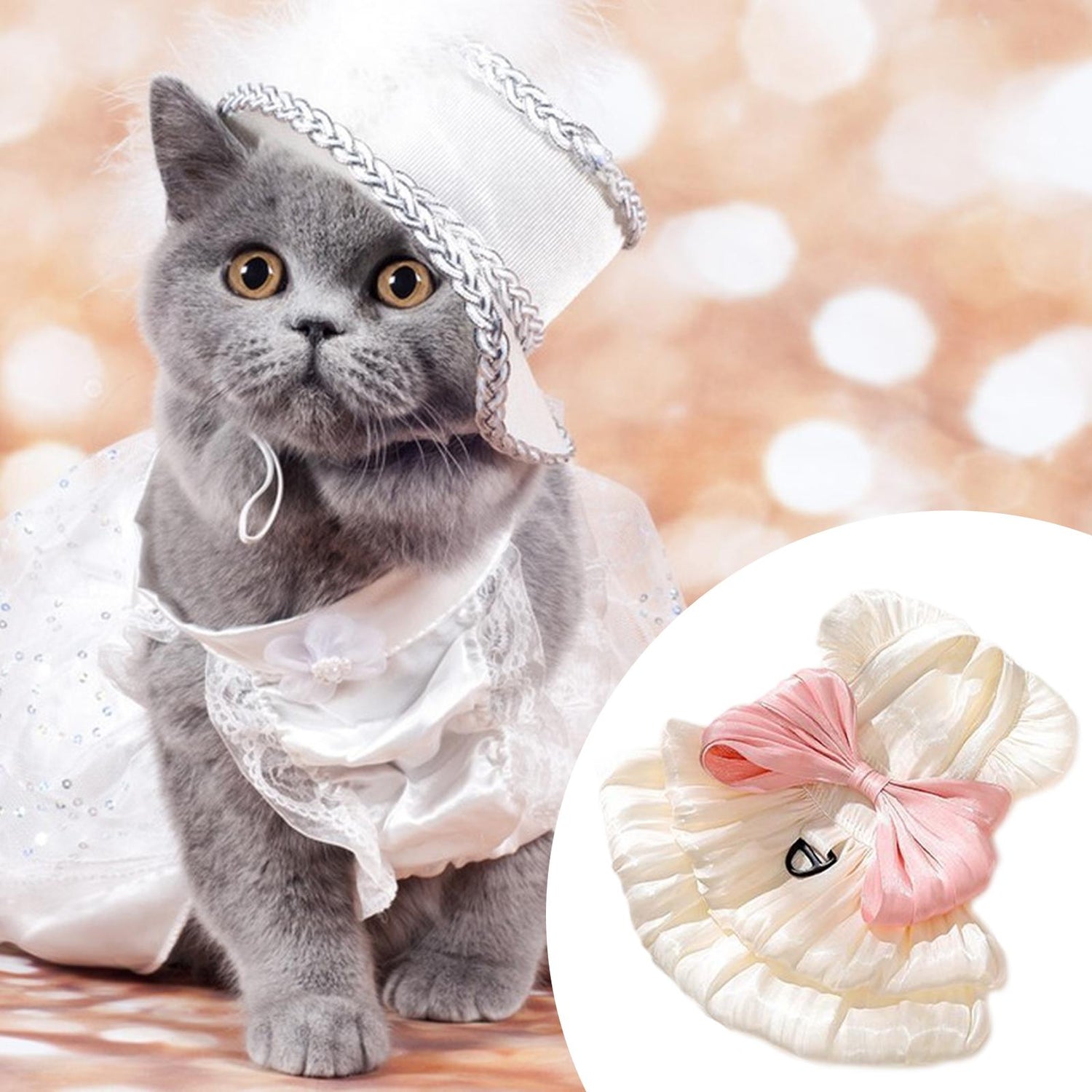Cat Apparel