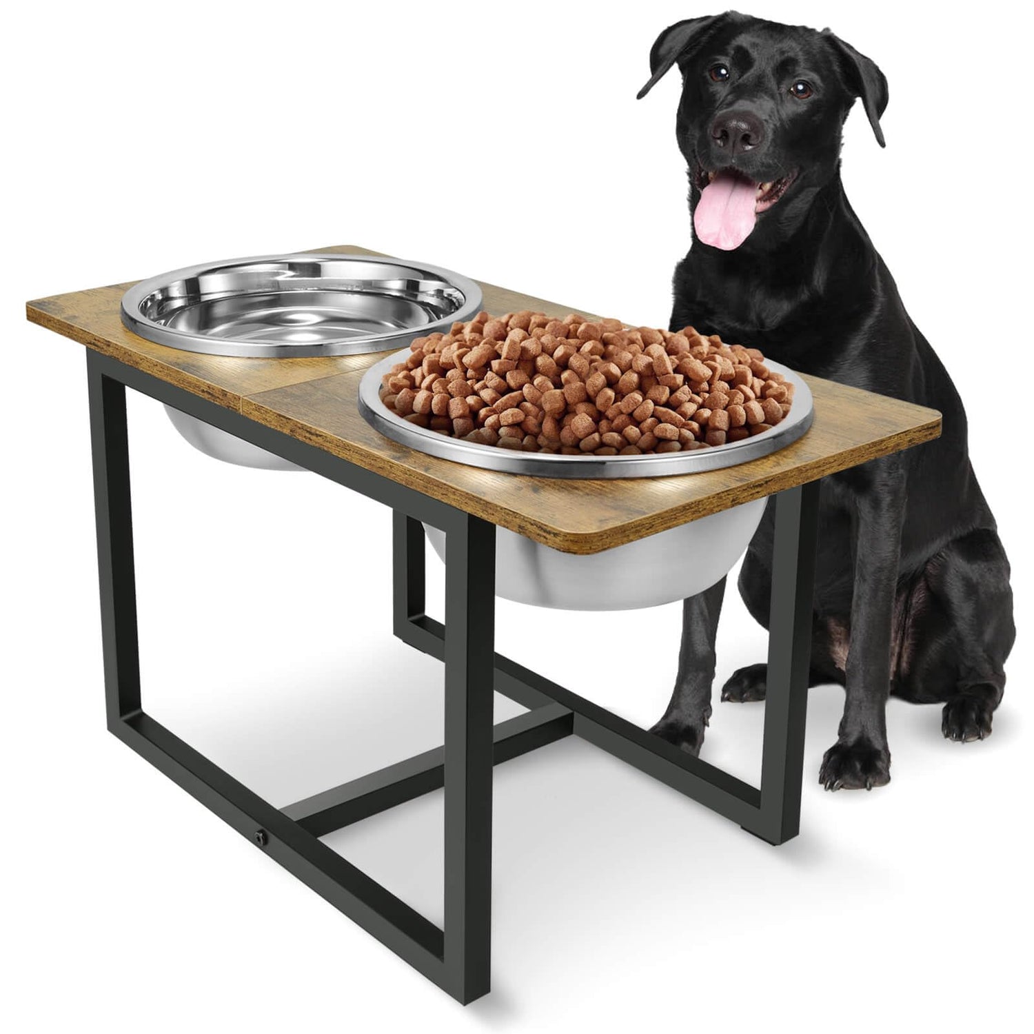 Dog Bowls