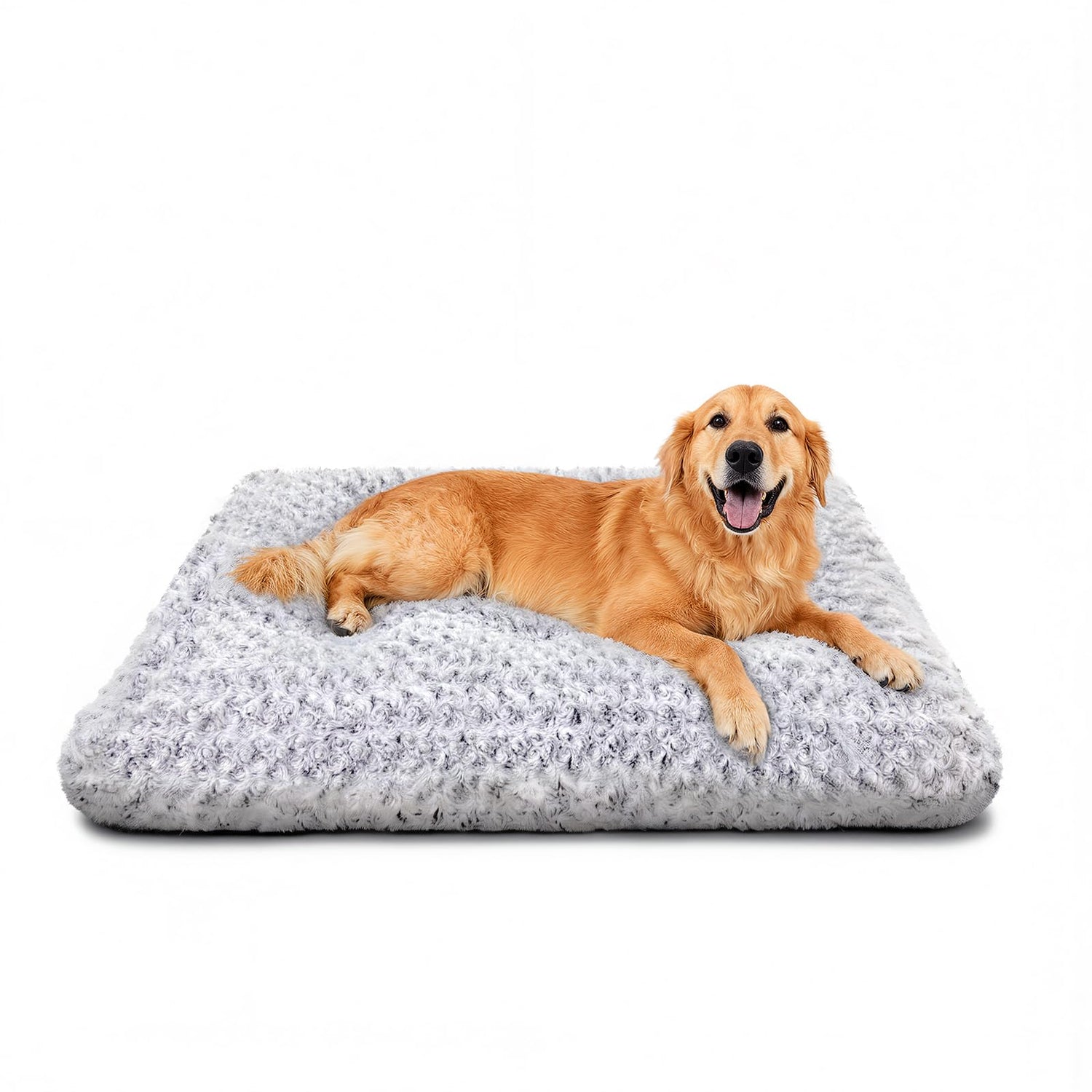 Dog Beds