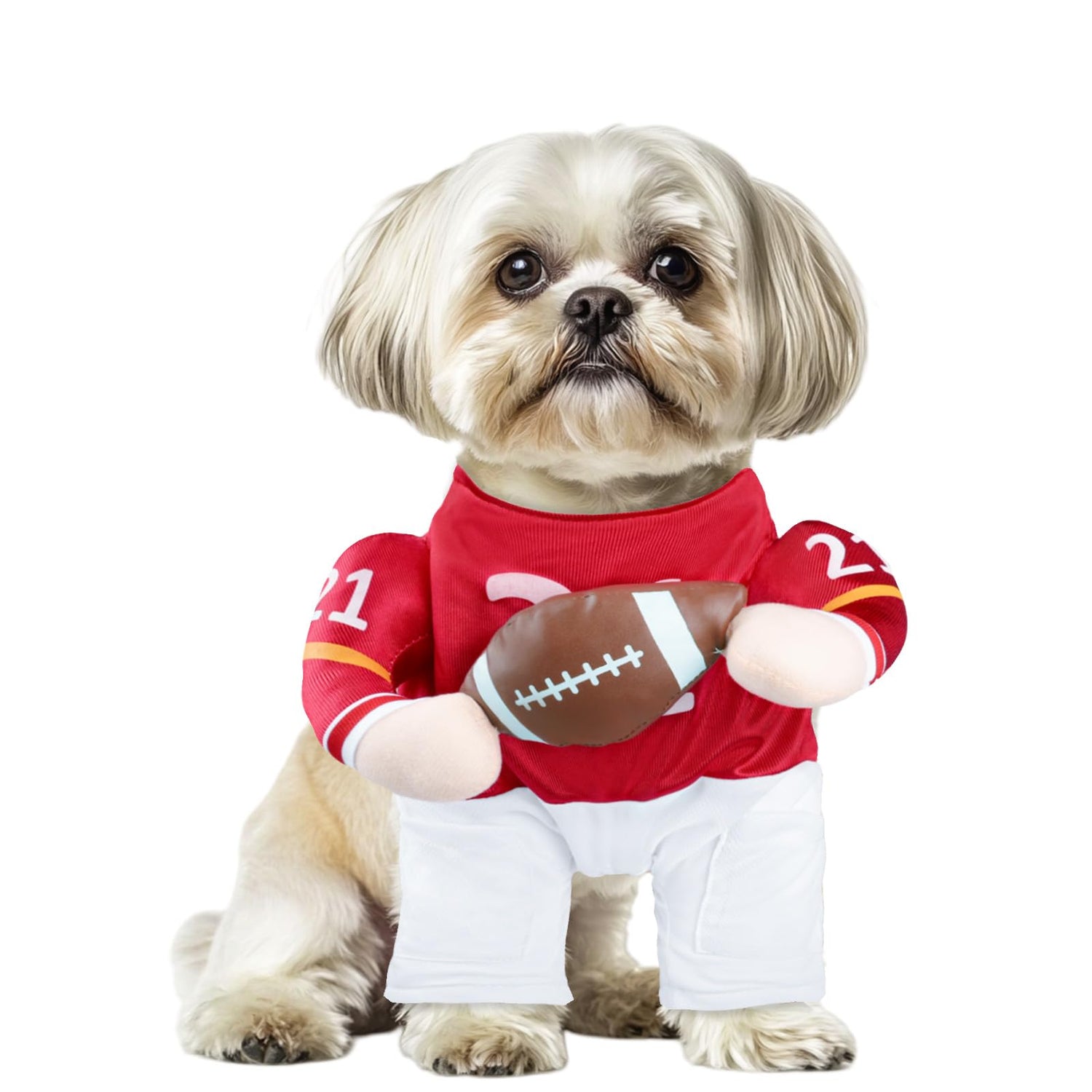 Dog Costumes